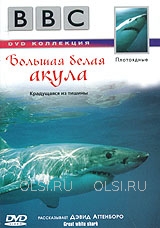 DVD - BBC: Плотоядные. Большая белая акула
