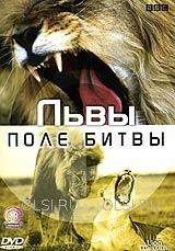 DVD - BBC: Поле битвы. Львы
