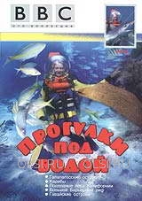 DVD - BBC: Прогулки под водой