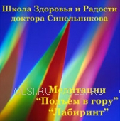 CD - Синельников Валерий Владимирович - Медитация: подъем в гору, лабиринт. Диск №15