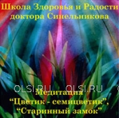 CD - Синельников Валерий Владимирович - Медитация: цветик семицветик, старинный замок. Диск №17