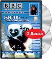DVD - BBC: Жизнь млекопитающих (2 DVD)