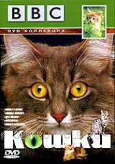 DVD - ВВС: Кошки